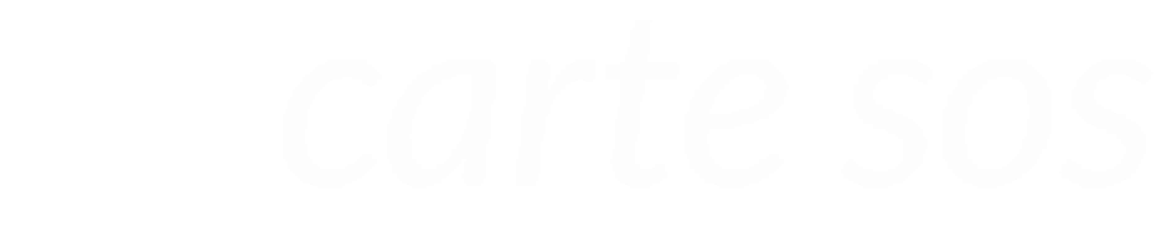 logo carte sos urgence